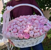 101 пион в корзине
